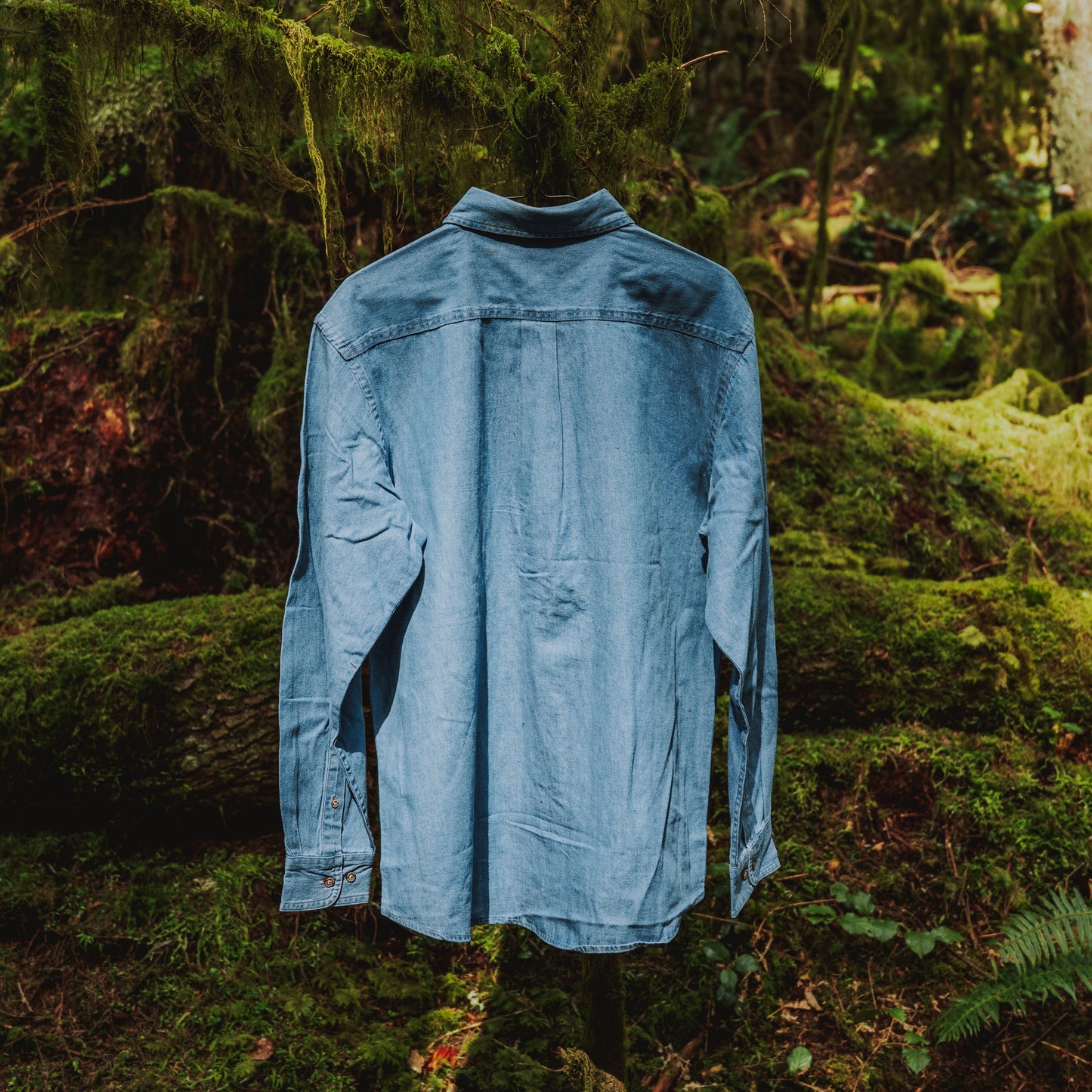 Denim Long Sleeve