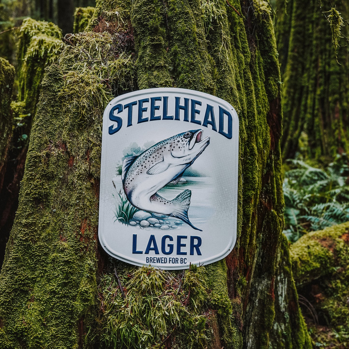 Steelhead Tin Sign