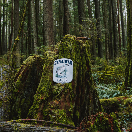 Steelhead Tin Sign